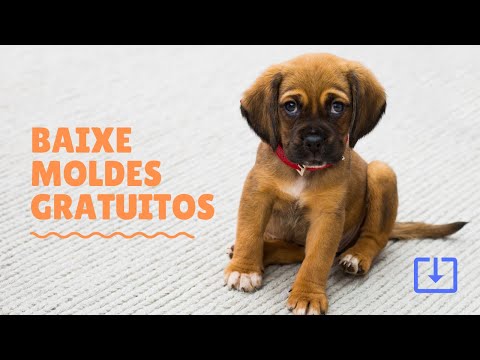 Moldes de roupas de cachorro | roupa para cachorro | molde de roupa para cachorro |Moldes para pets