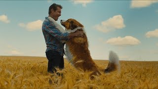 A Dog's Journey | Official Trailer | Thai Sub | UIP Thailand