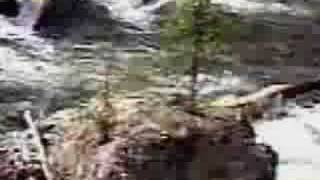 The Last Farewell - Roger Whittaker. (cover)