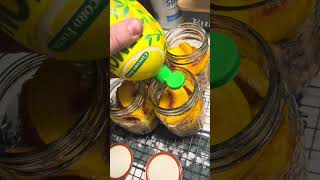 How to Can Peaches