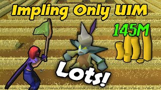 65,535 Eclectic Implings Caught - Impling Only Uim