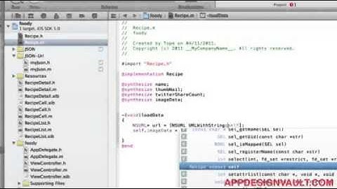 WEB SERVICES in iOS SDK