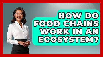 How Do Food Chains Work in an Ecosystem? | Explaining Ecology News