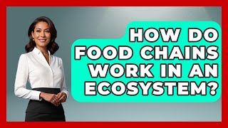 How Do Food Chains Work in an Ecosystem? | Explaining Ecology News