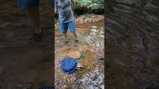 Bent Fork - After the rain Live! Exploring Idaho Niagra Springs Balanced Rock