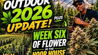 Outdoor 2026 update my plants are turning into trees