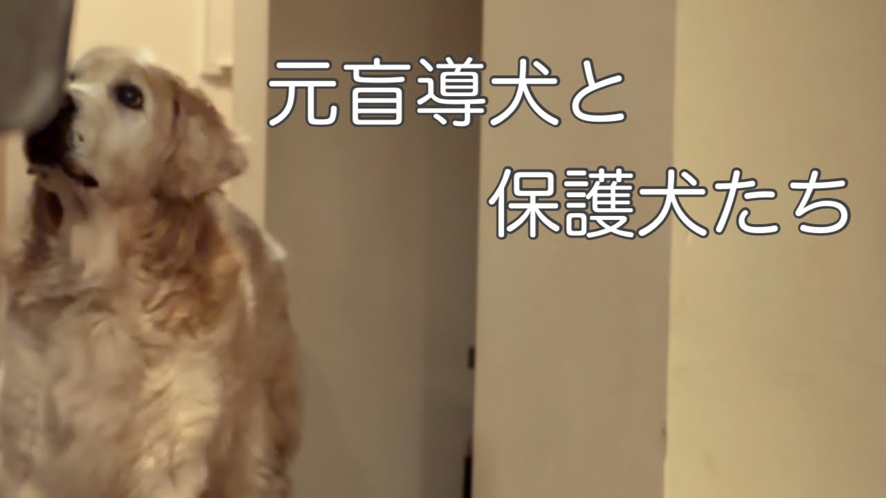 かけがえのない命、私の宝物です