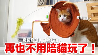 【好味小姐】再也不用陪貓玩了發明逗貓永動機Feat.非喵布可好味貓日常EP75