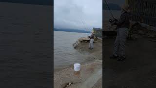 2025년 6월 29일#농어잡는사람들#강화교동도 #낚시대 #fishing #carp #carpfishing #fish #travel #교동월선포#