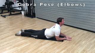 Cobra Pose Elbows