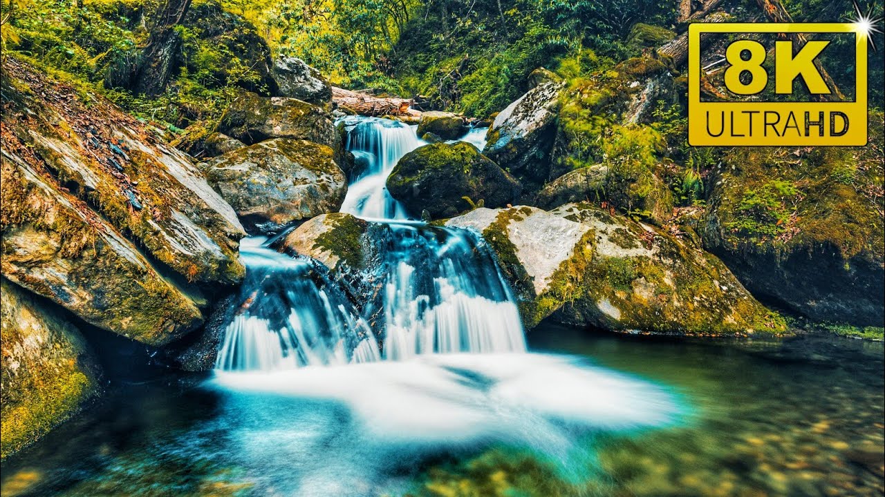 MOST COLORFUL NATURE VIEW | 8K ULTRA HD VIDEO | WILD NATURE SHORT FILM