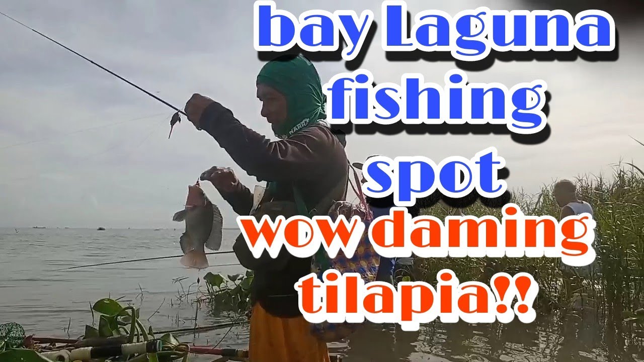 Laguna lake fishing spot. sto Domingo bay Laguna dami nang nahuhuling