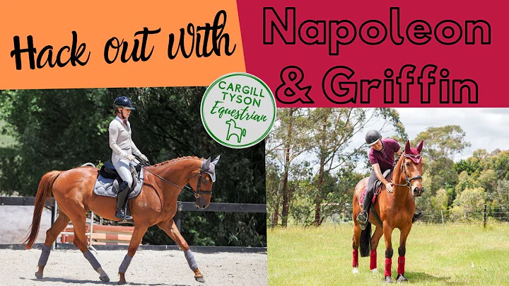 Hack out with Napoleon & Griffin