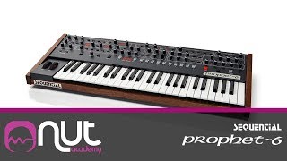 Prophet 6 sequential con Enrico Cosimi @Nut Academy.