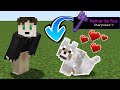 Minecraft but WOLVES GIVE OP ITEMS