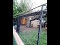 en el zool&oacute;gico