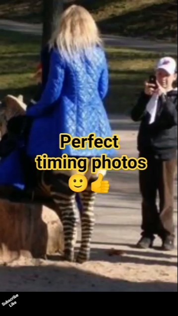 perfect timing photos 🙂👍 - YouTube