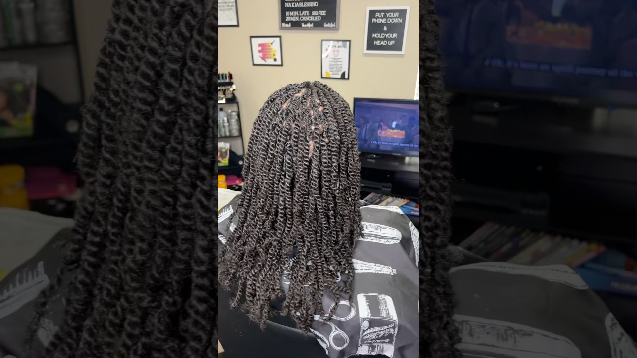 Outre Crochet Braids X-Pression Twisted Up 3X Springy Afro