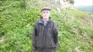 BİR GÜN GELİR HEPSİ YALAN OLUR
