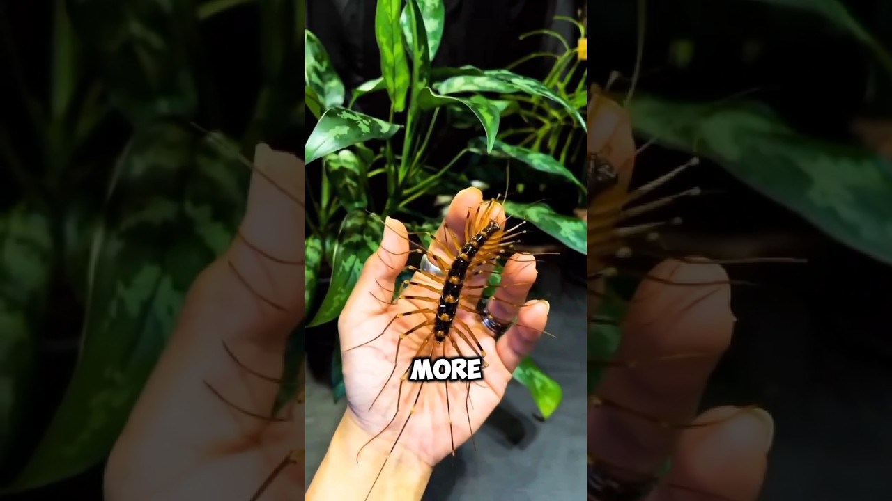 3 Unique Insects That Look Nothing Like Insects