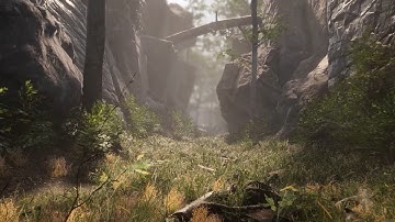 Photorealistic Forest Environment - Level Design in Unity3D