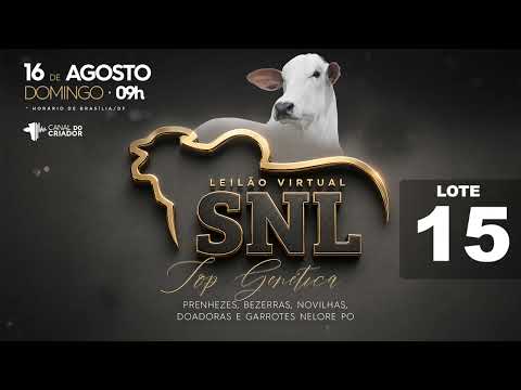 LOTE 15   SNL 2815