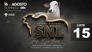 LOTE 15 SNL 2815