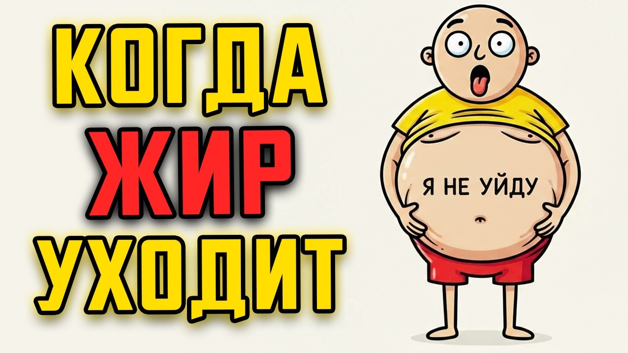 Почему жир на животе не уходит: ошибка, которую вы делаете утром (Научное объяснение)