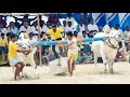 Karnataka state chandrabanda new category bulls race 2 kadi