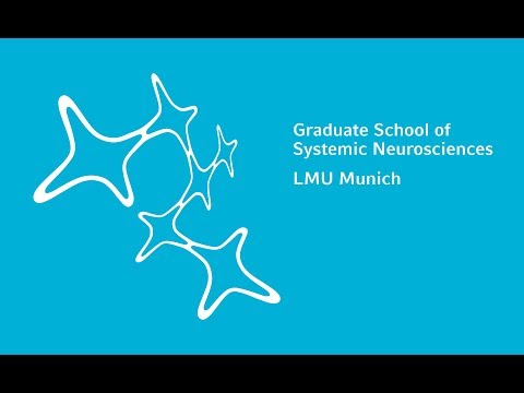 Getting to know the Graduate School of Systemic Neurosciences GSN-LMU
