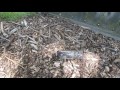 Middle of video