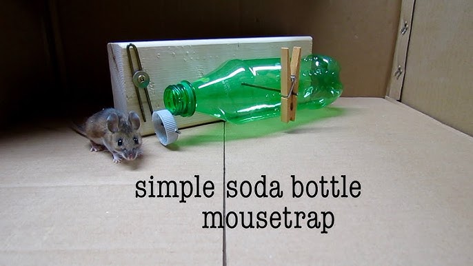 Building A Better Mousetrap - Doodlewash®
