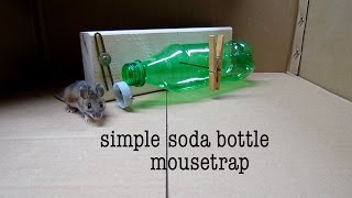 Simple, Humane Mousetrap Made from Soda Bottle - Make