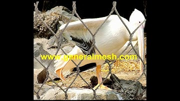 Generalmesh bird cage netting, aviary wire mesh,aviary fence mesh, aviary netting fence