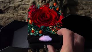 Vanity table goals ✨ Meet our LED Preserved Flower Jewelry Box.
