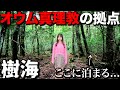 入ったら二度と出て来れない樹海に泊まってきた。