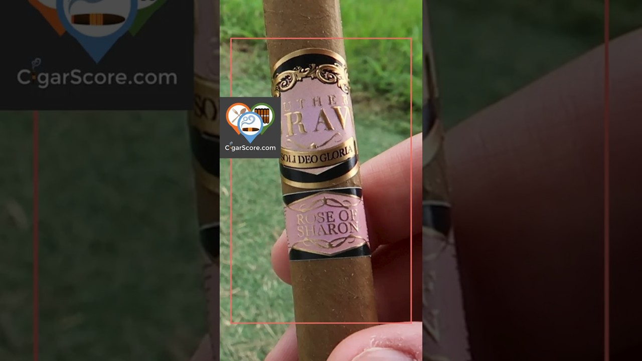 Southern Draw Rose of Sharon Lancero _ 90 Second Cigar Review 