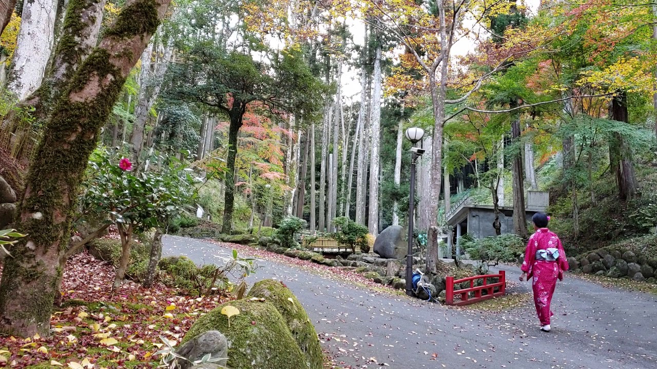 camera iphone 8 plus apk 綠水情波