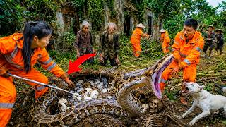 Time Lapse 72 Hours: Workers Discover Giant Python Nest &amp; Rotting Skeleton Under an Abandoned House