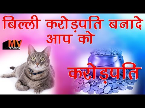 वीडियो: बिल्लियों के लिए लॉक्सिकोम: संकेत और मतभेद, विशेष निर्देश, भंडारण की स्थिति, समीक्षा, एनालॉग्स