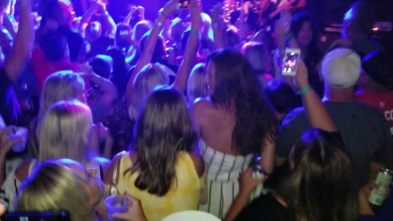 Spider Monkey(Famous)