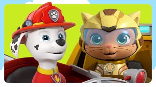 PAW Patrol and Cat Pack Save the Day and more | PAW Patrol Compilation | Cartoons for Kids