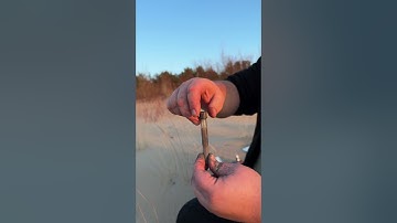 From Rust to Magnetic Fluid: DIY Ferrofluid Creation