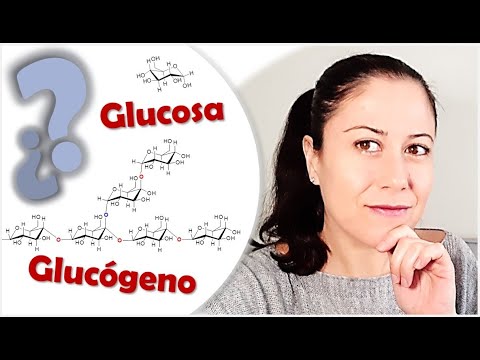 Vídeo: Diferencia Entre Glucógeno Y Glucosa