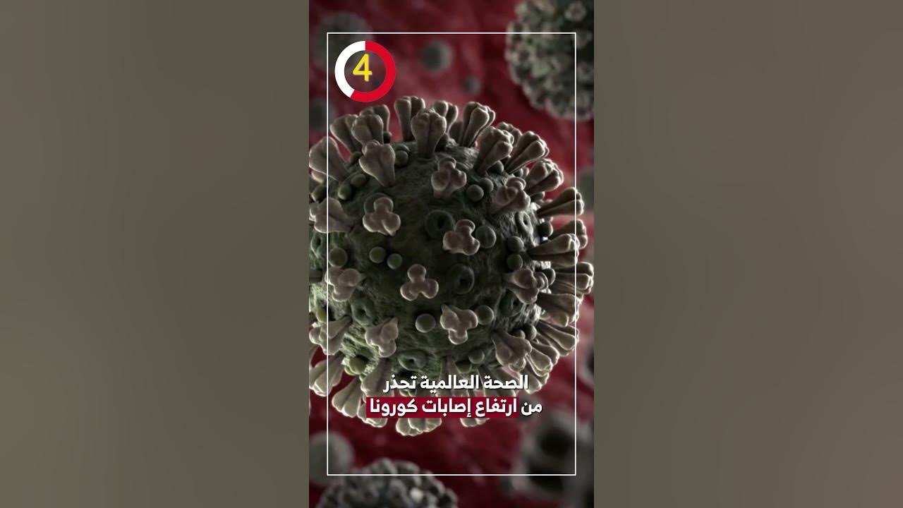       
 - 15:55-2025 / 6 / 7
