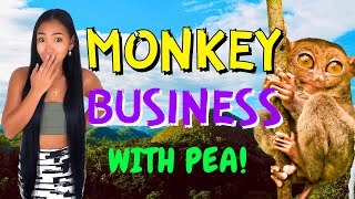 Bohol Road Trip - The Real Philippines