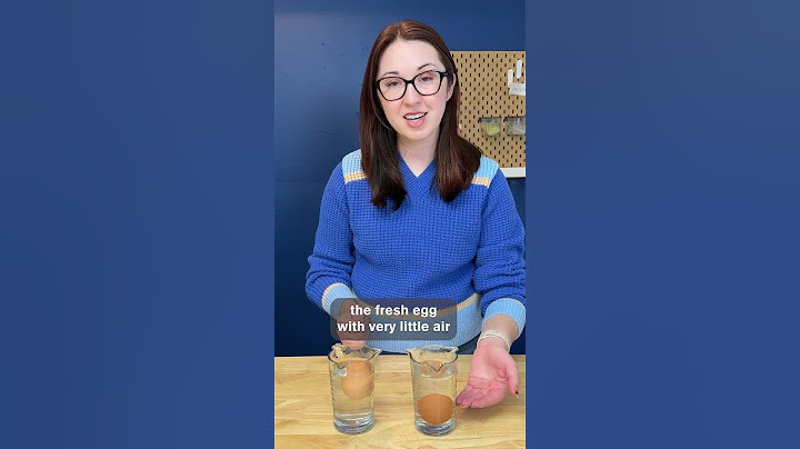 Egg Float Test - Science Freshness Experiment