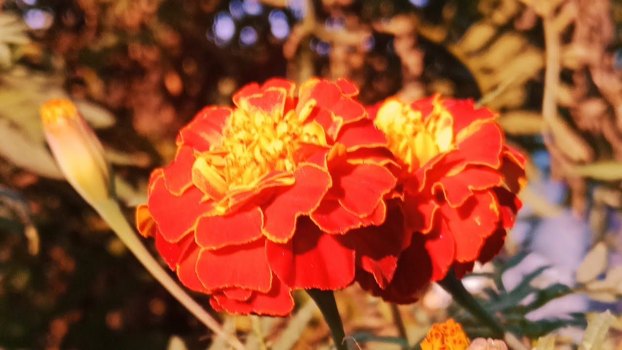 Archives By Nusaiba's Mom  is live!