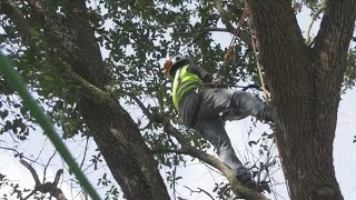 Entergy Louisiana update on Delta Power Outage