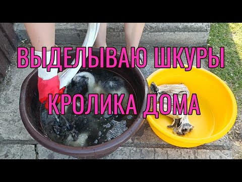 Выделка шкур кролика в домашних условиях